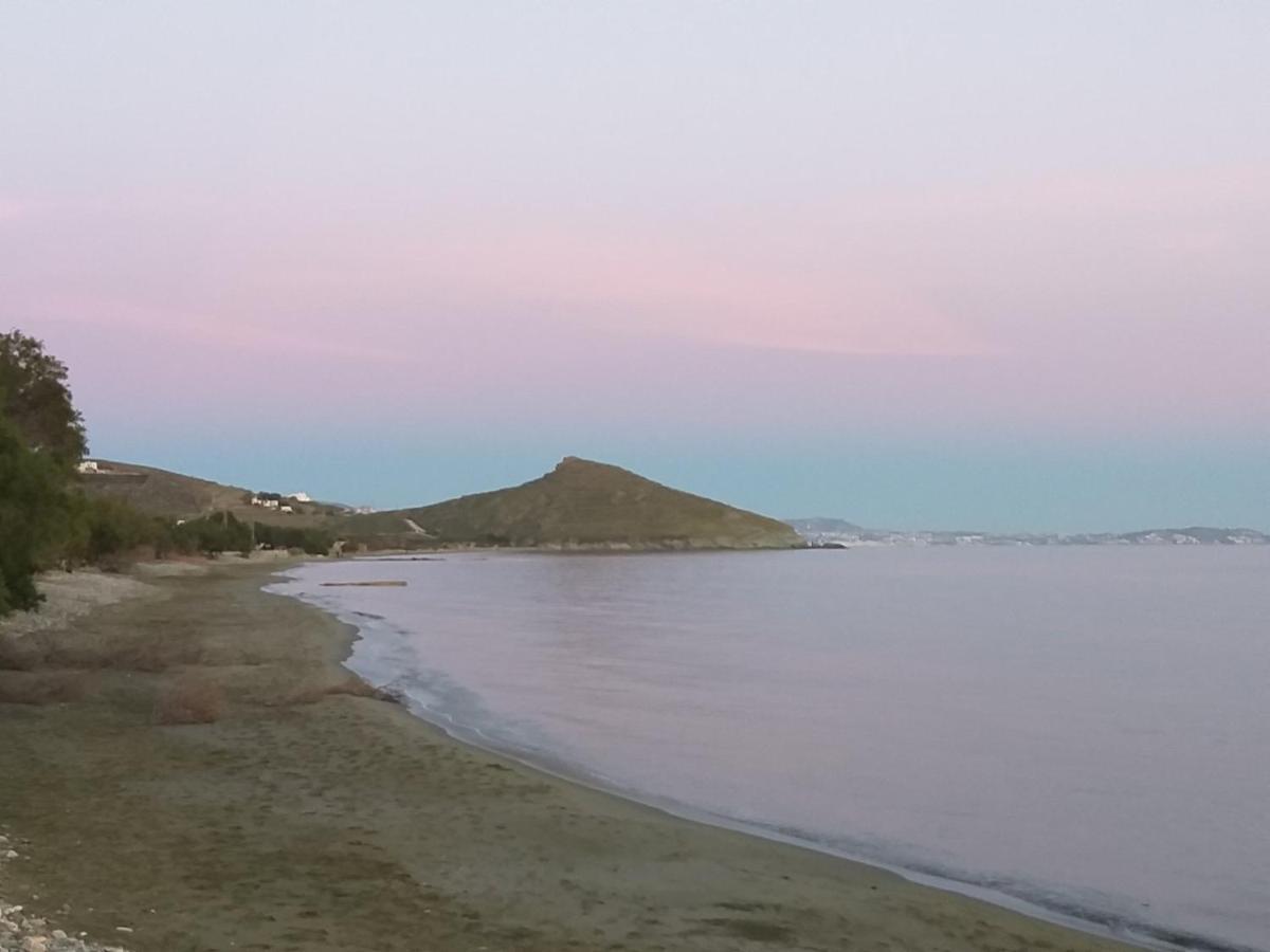 Tinos Aqua Palazzo Otel Dış mekan fotoğraf